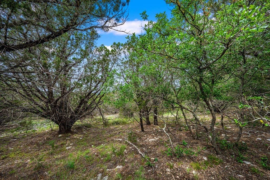 51.3 acres in Kerr County - photo 12