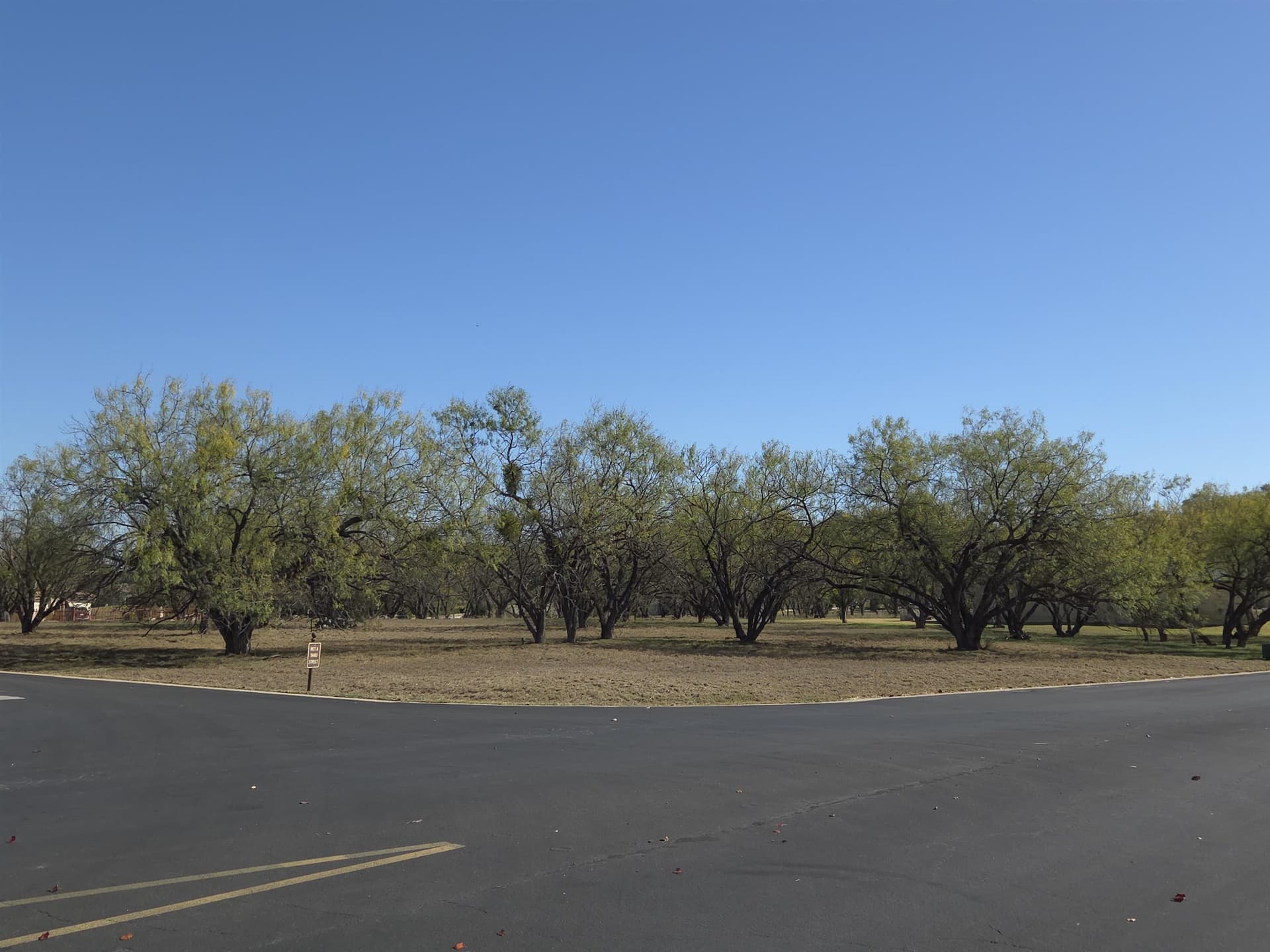 0.32 acres in Llano County - photo 6