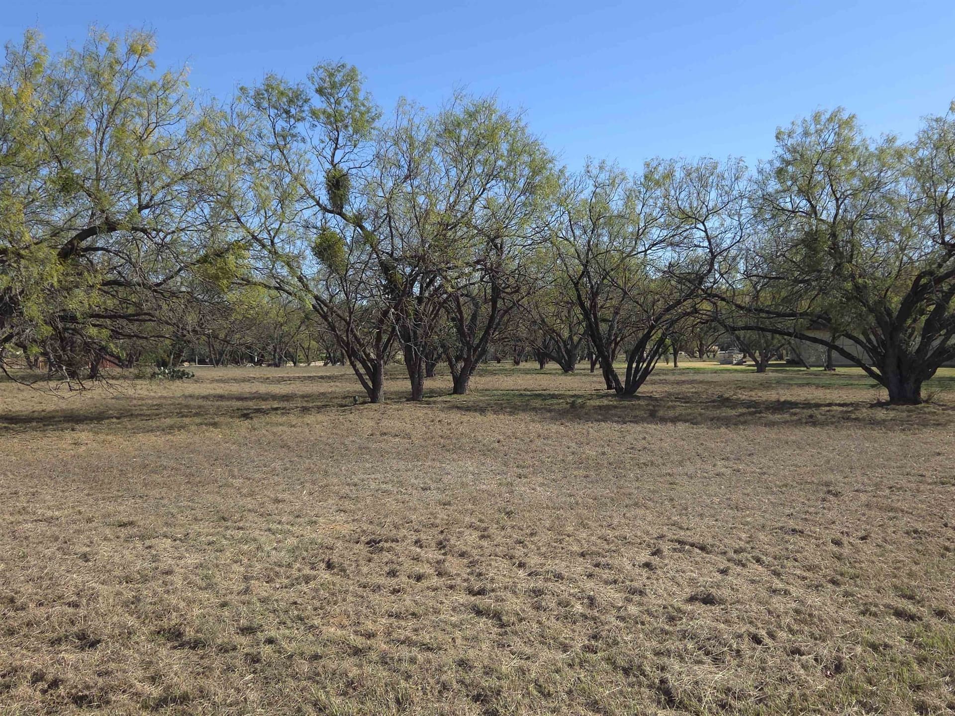 0.32 acres in Llano County gallery image 4