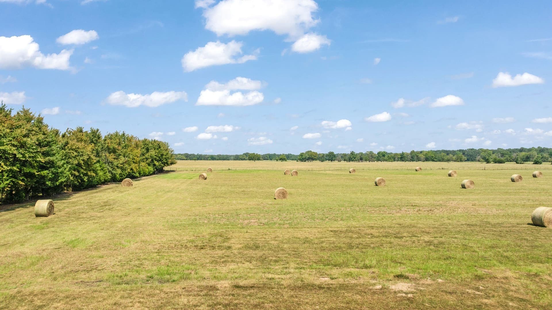23.78 acres in Lamar County - photo 8