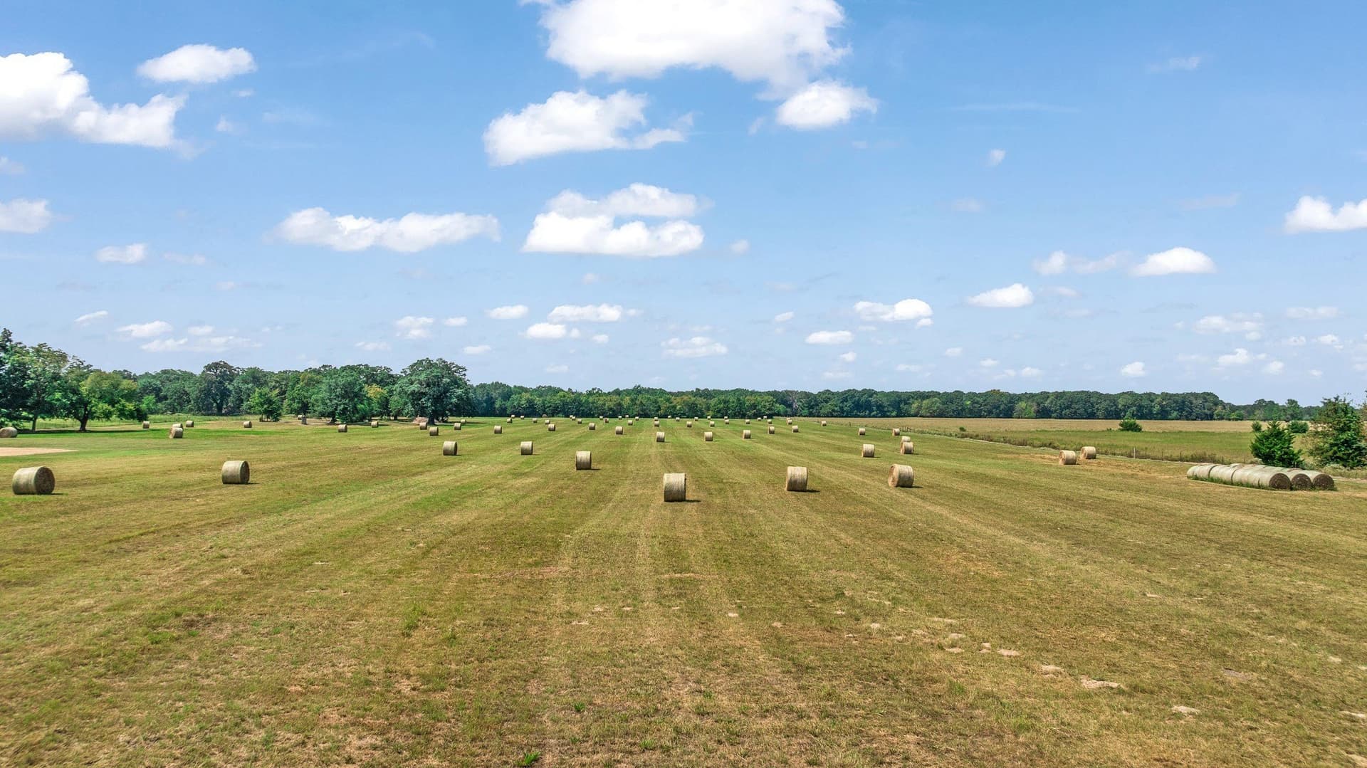 23.78 acres in Lamar County featured view