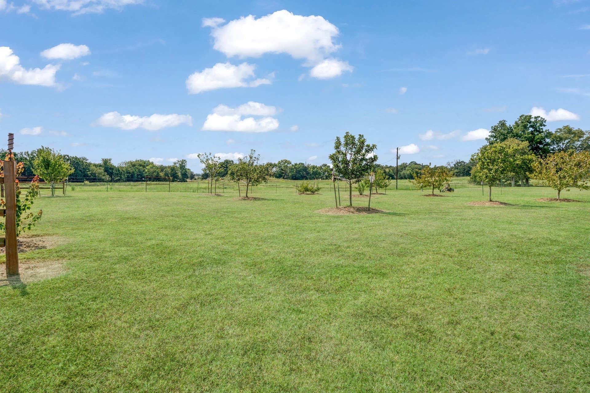 23.78 acres in Lamar County - photo 20
