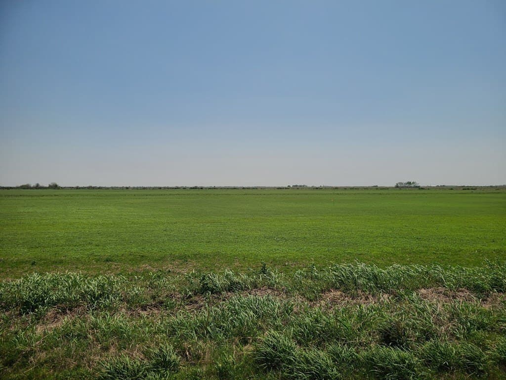 11.86 acres in Texas County gallery image 2