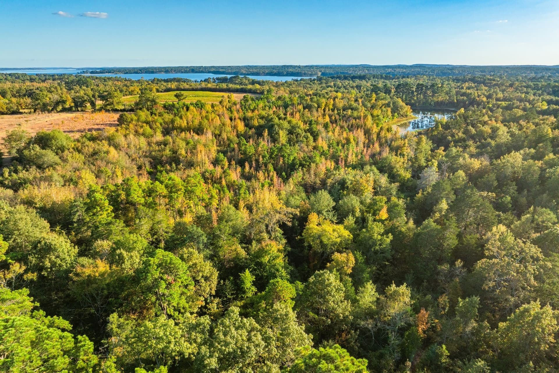 265 acres in Henderson County - photo 30