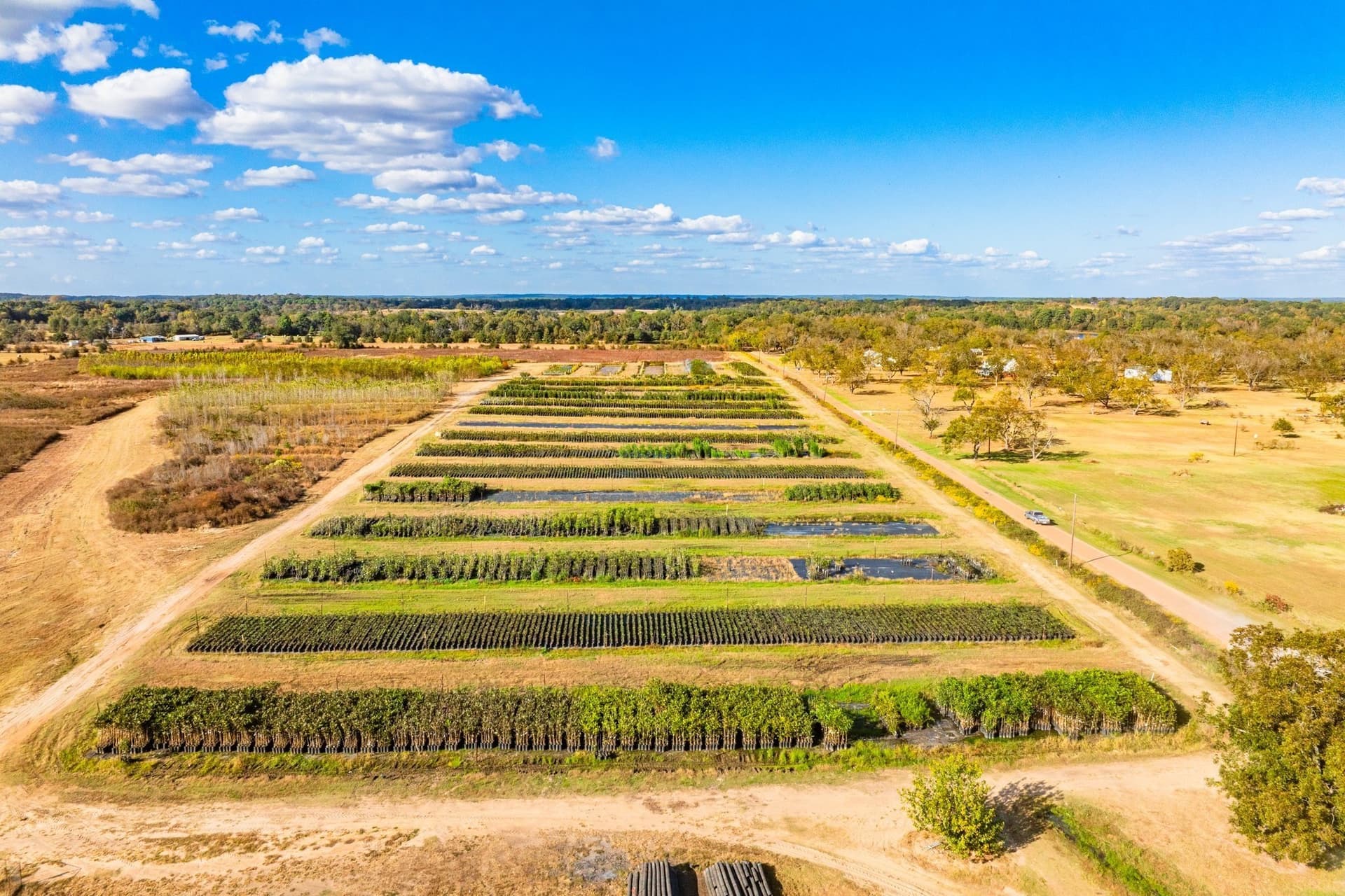 265 acres in Henderson County - photo 33