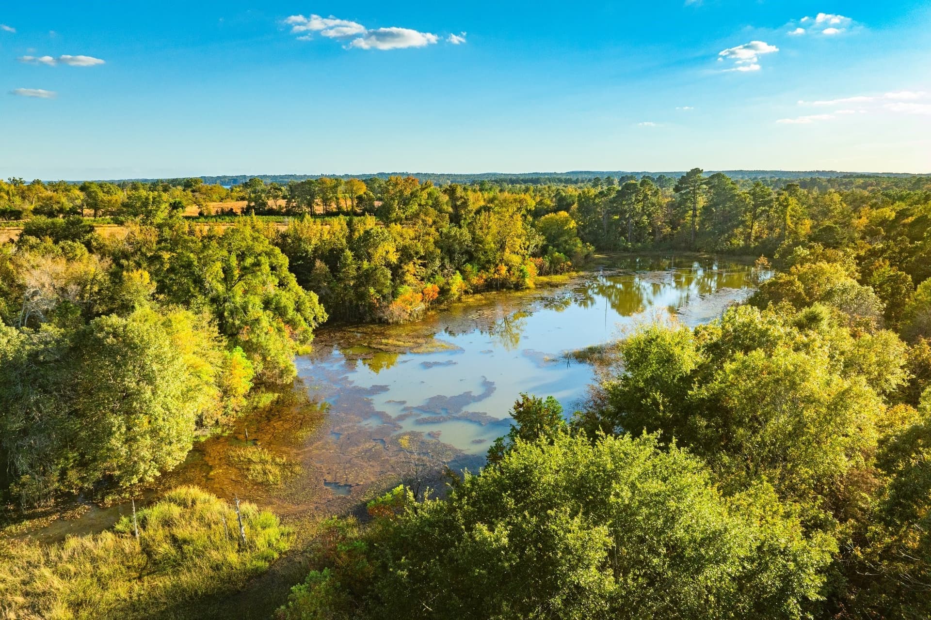 265 acres in Henderson County - photo 16