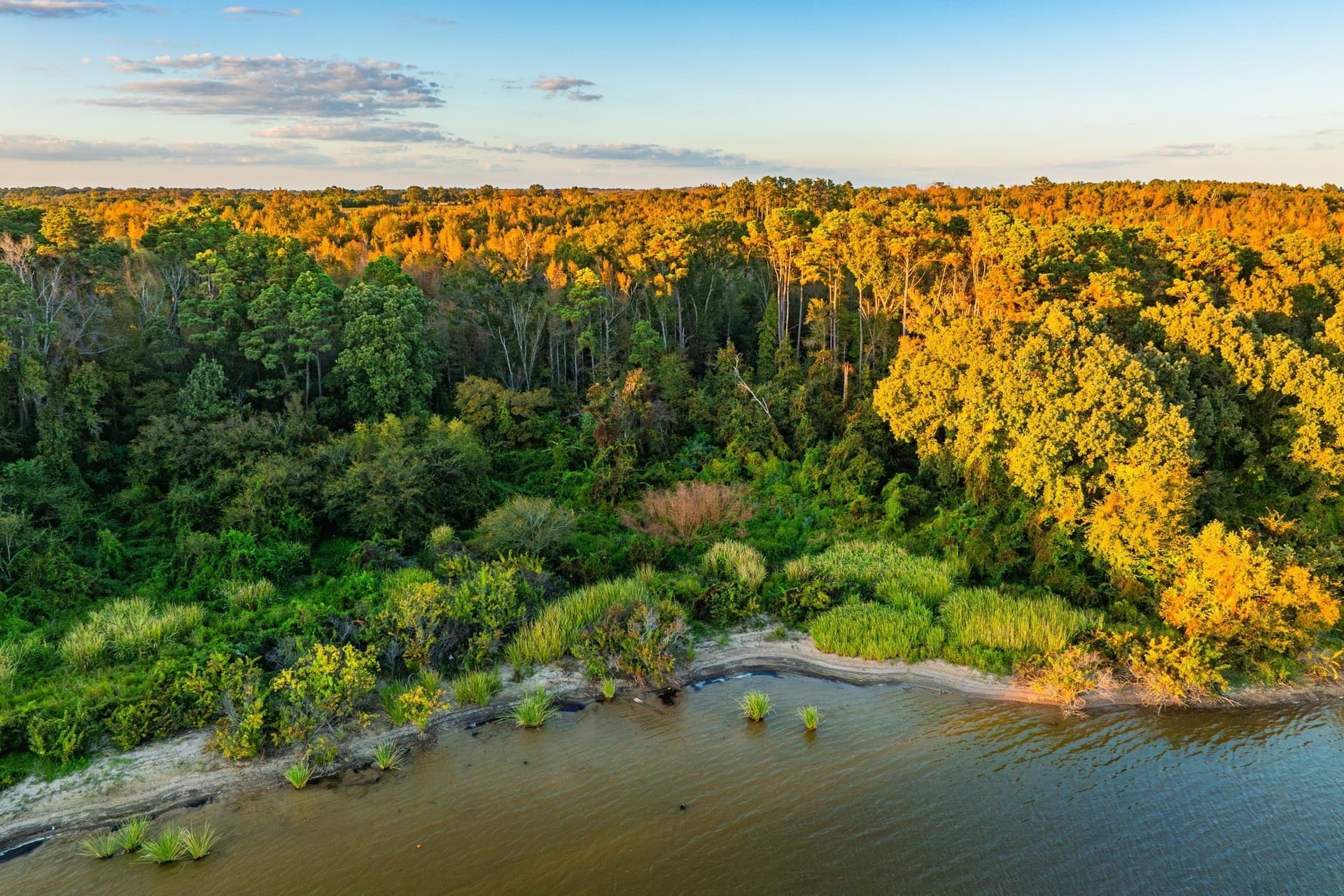 265 acres in Henderson County - photo 4