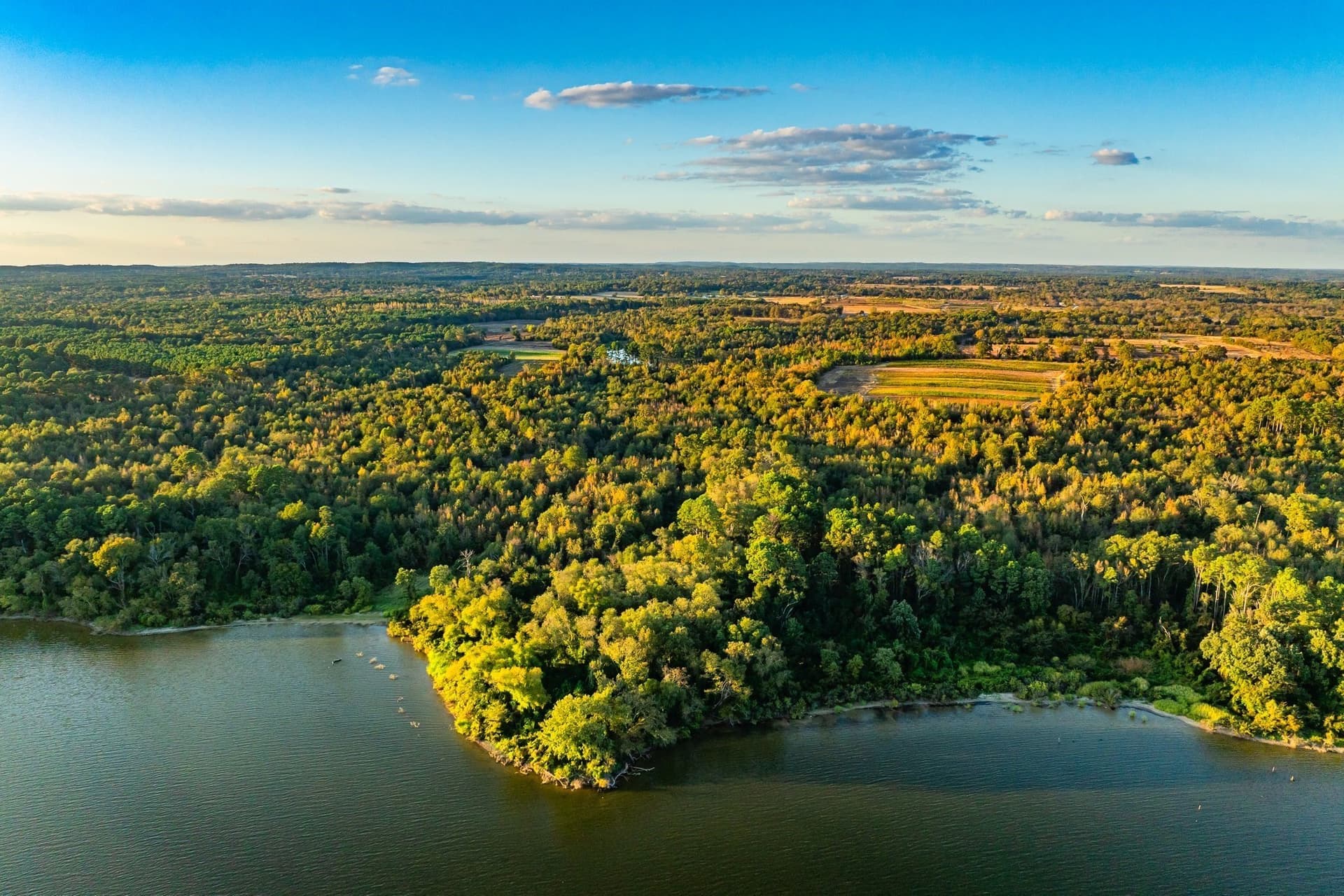 265 acres in Henderson County - photo 3
