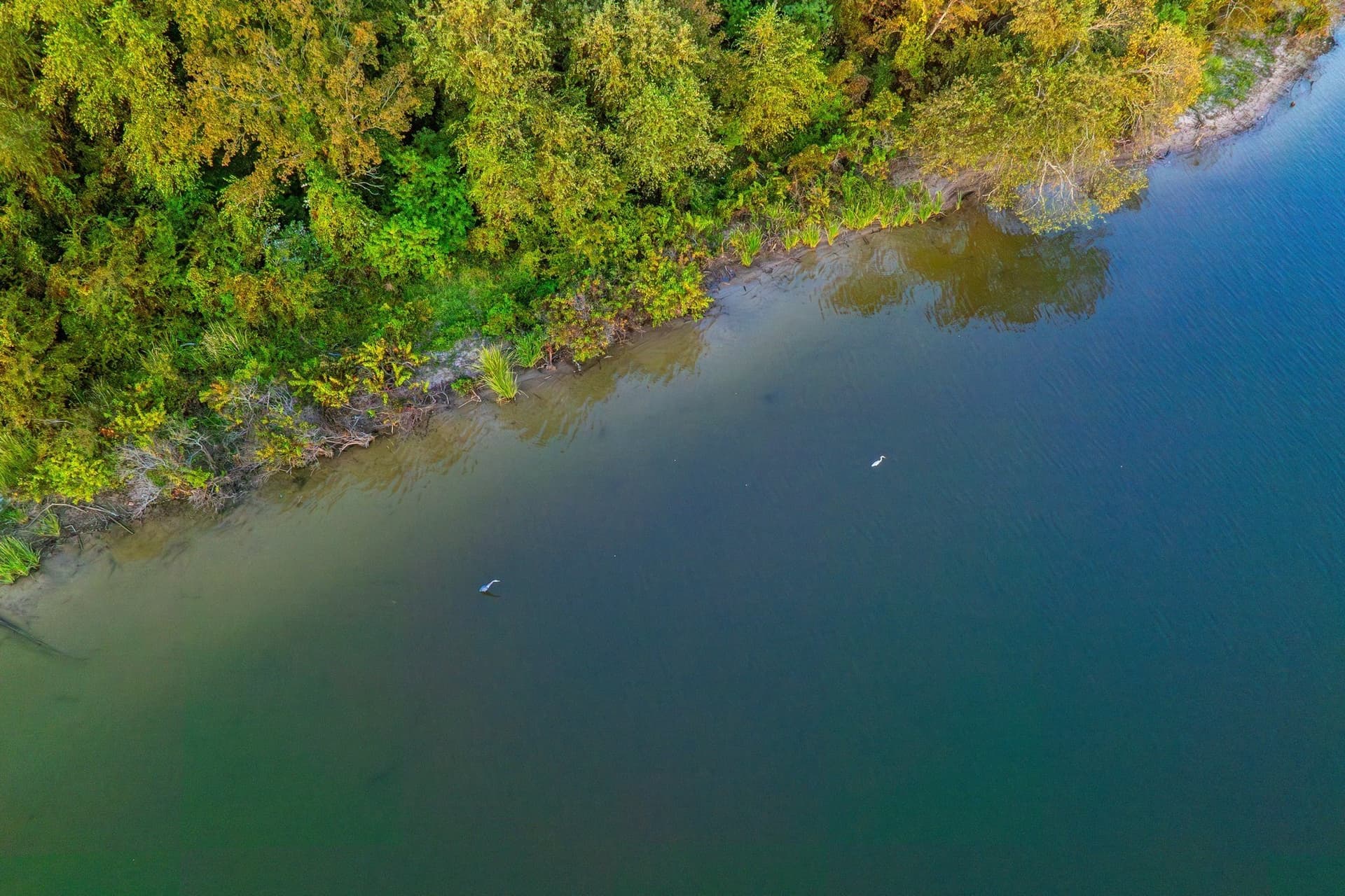 265 acres in Henderson County - photo 22