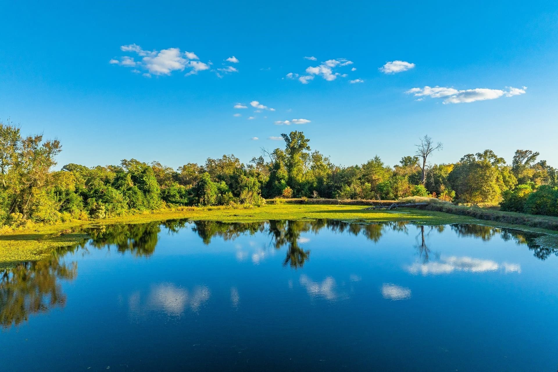 265 acres in Henderson County - photo 2