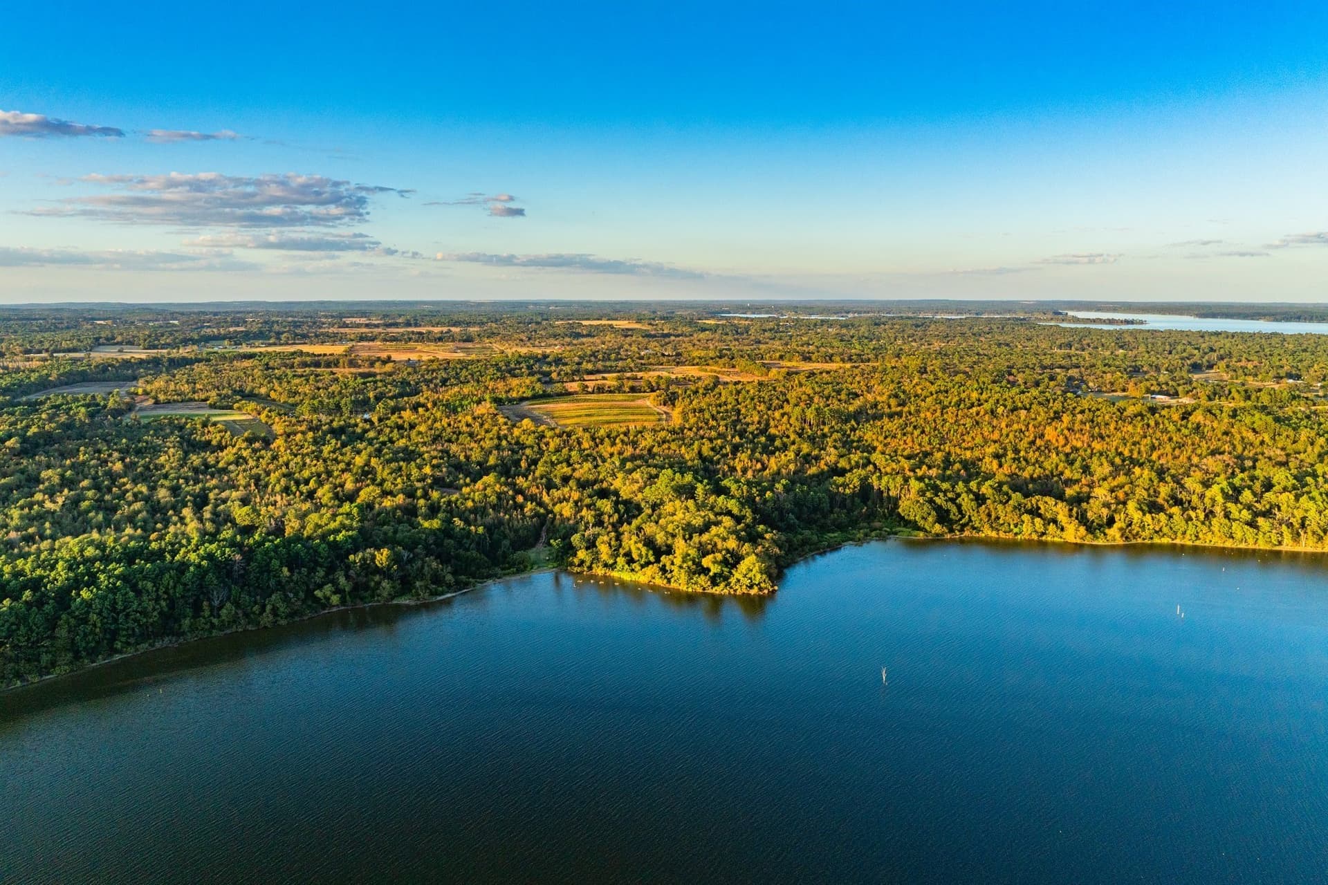 265 acres in Henderson County - photo 14