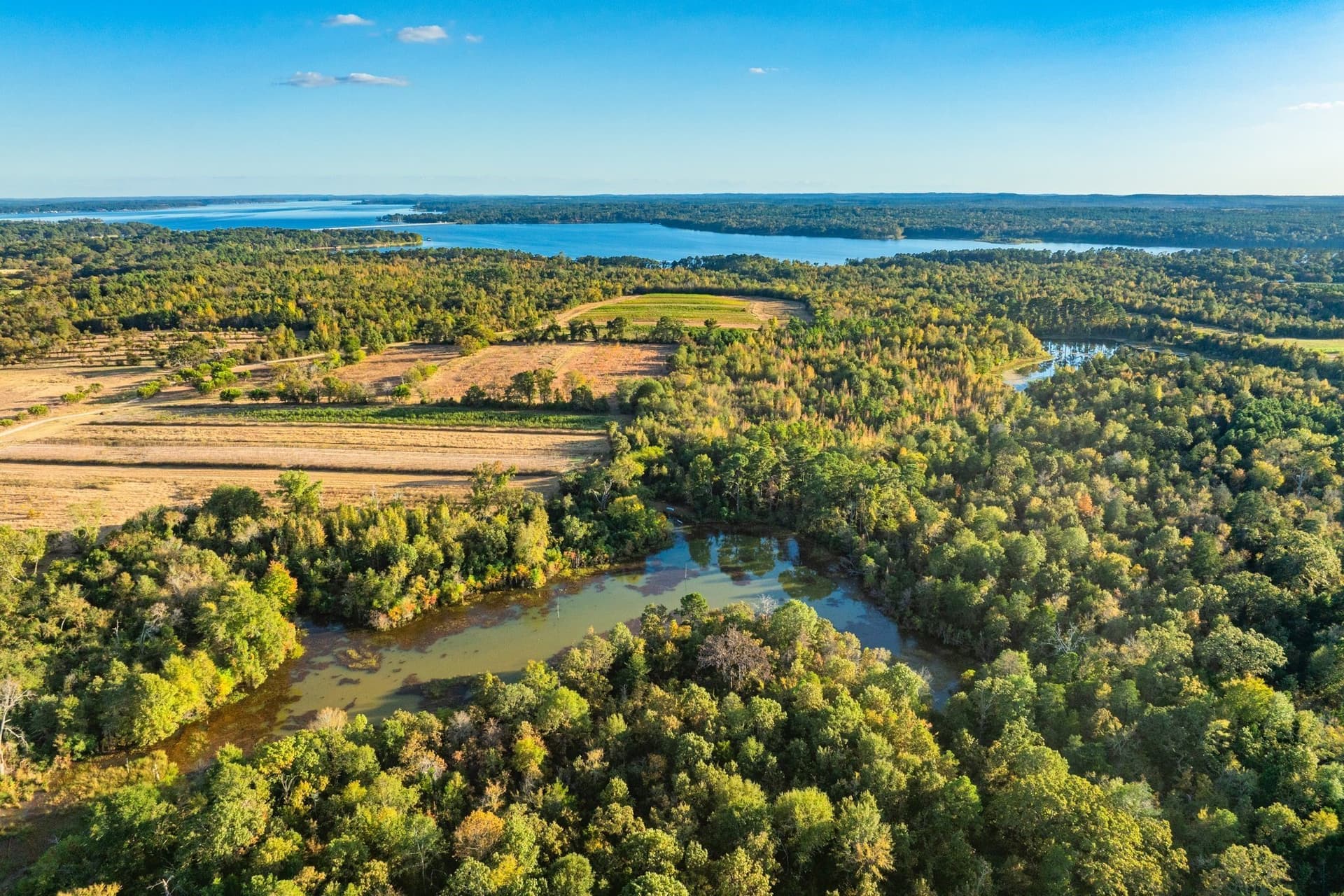 265 acres in Henderson County - photo 29