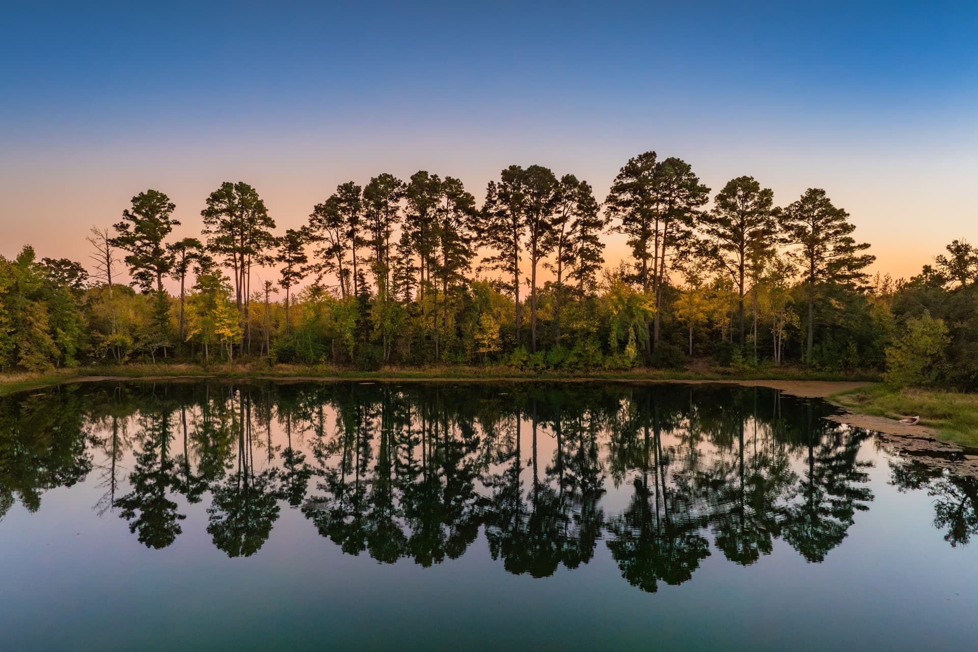265 acres in Henderson County - photo 6