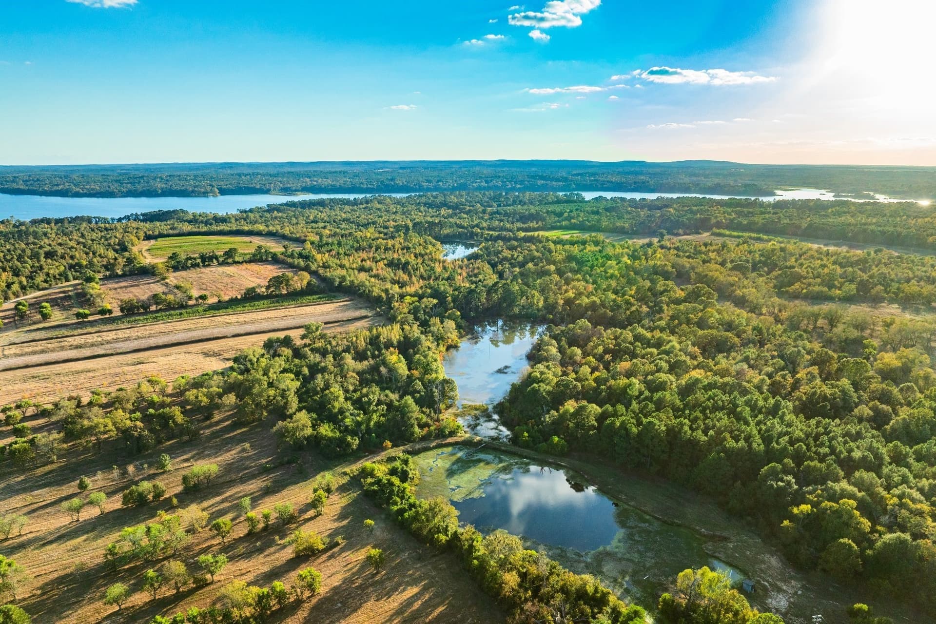 265 acres in Henderson County - photo 25
