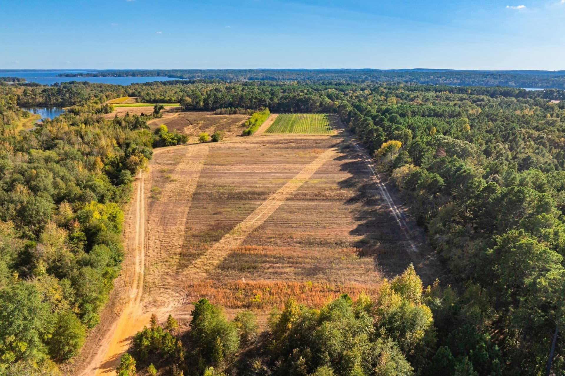 265 acres in Henderson County - photo 35