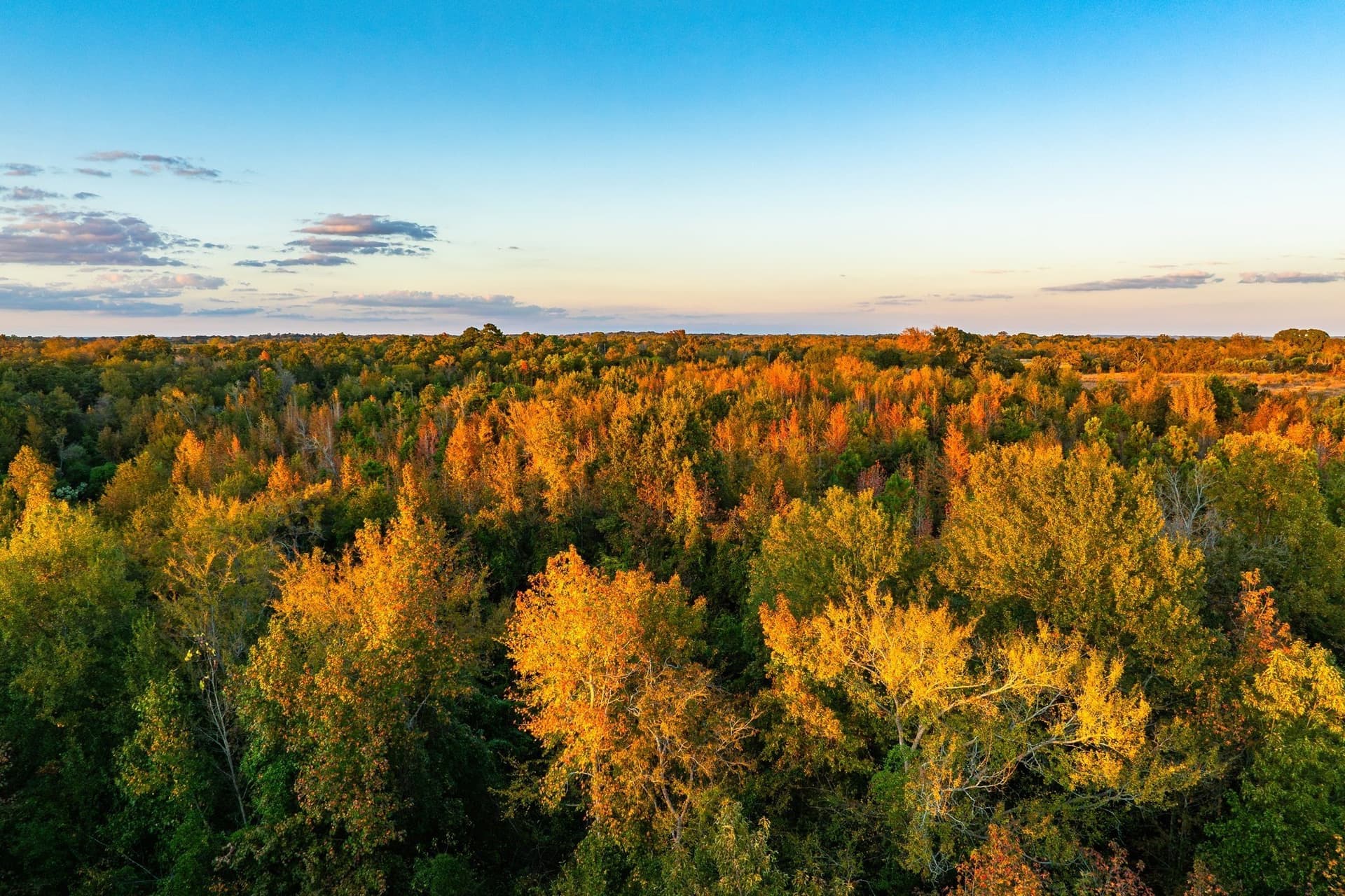 265 acres in Henderson County - photo 10