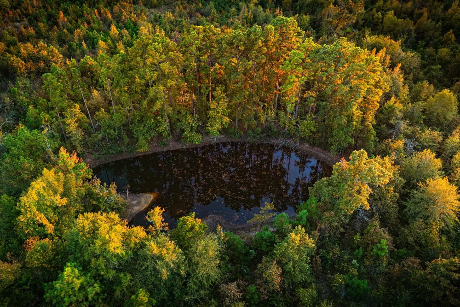 265 acres in Henderson County - photo 12