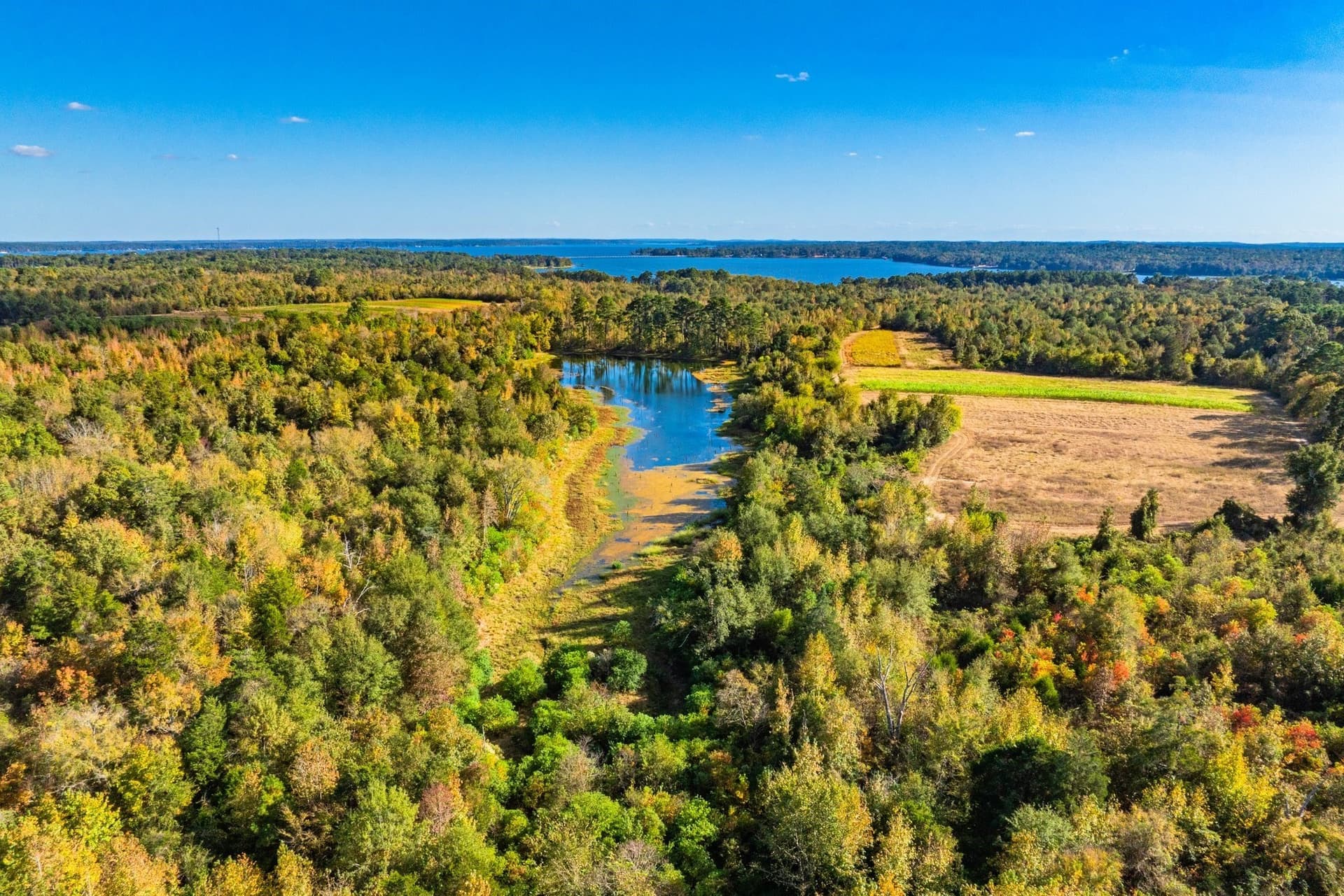 265 acres in Henderson County - photo 17