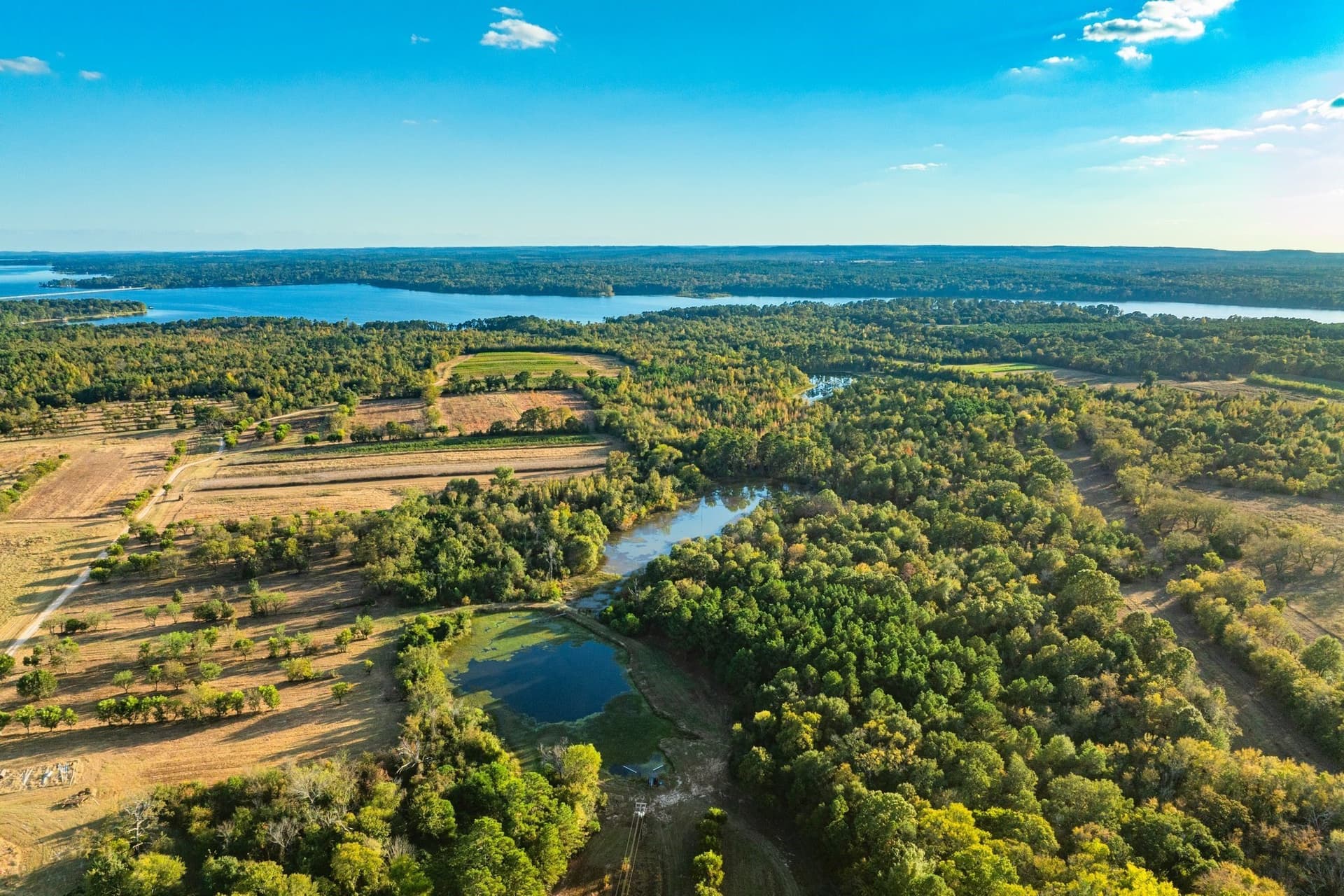 265 acres in Henderson County - photo 26