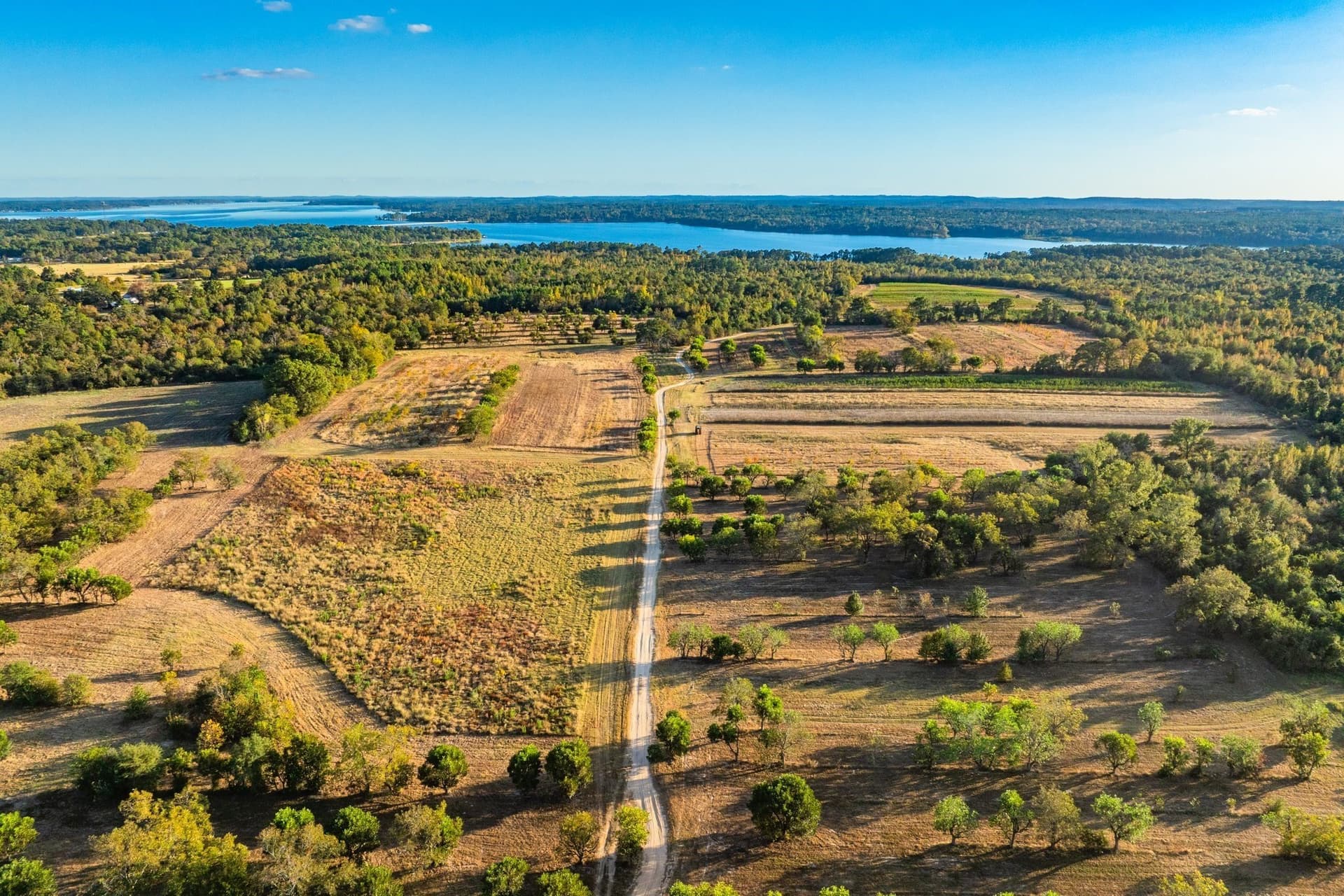 265 acres in Henderson County - photo 24