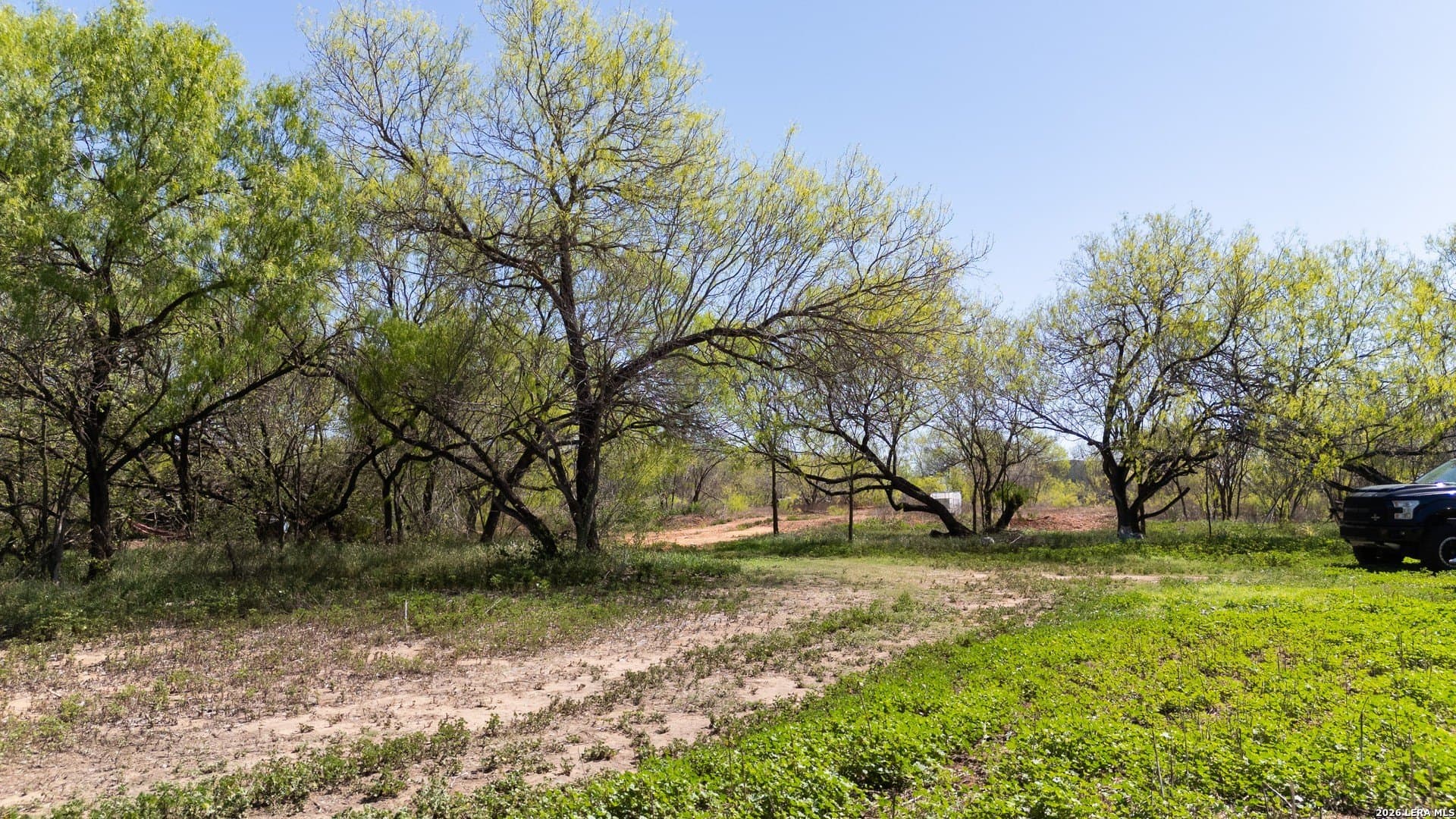 1.47 acres in Bexar County - photo 15