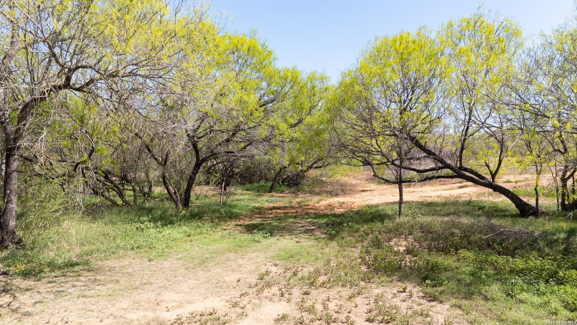 1.47 acres in Bexar County - photo 9