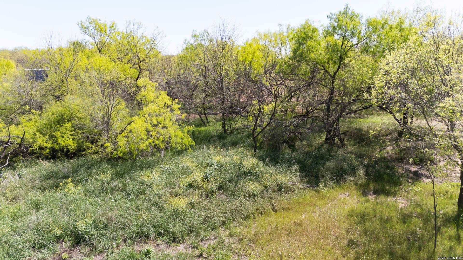1.47 acres in Bexar County - photo 13