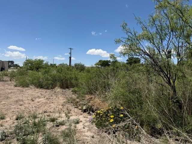0.53 acres in Presidio County - photo 8