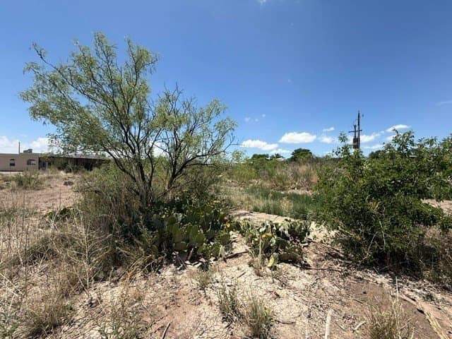 0.53 acres in Presidio County featured view