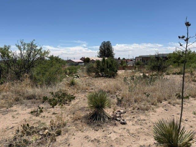 0.53 acres in Presidio County - photo 6