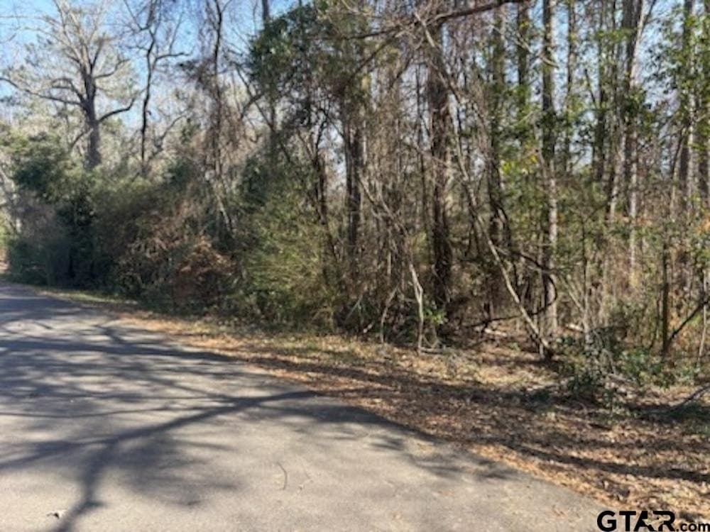 0.74 acres in Cherokee County gallery image 4