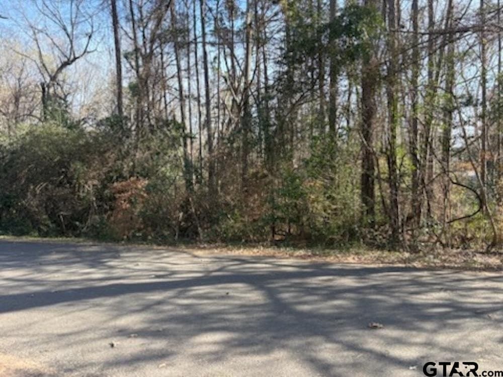 0.74 acres in Cherokee County gallery image 2