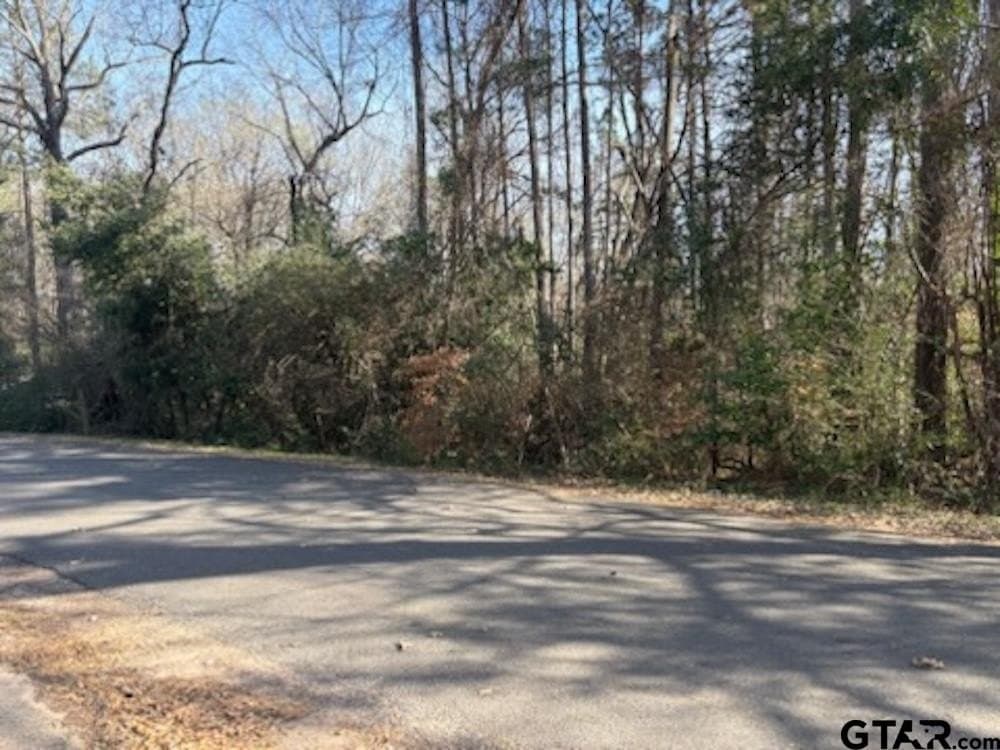 0.74 acres in Cherokee County gallery image 3