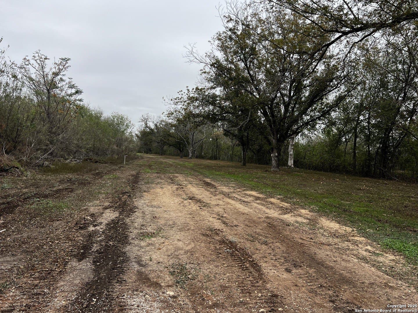 11.31 acres in Medina County gallery image 3