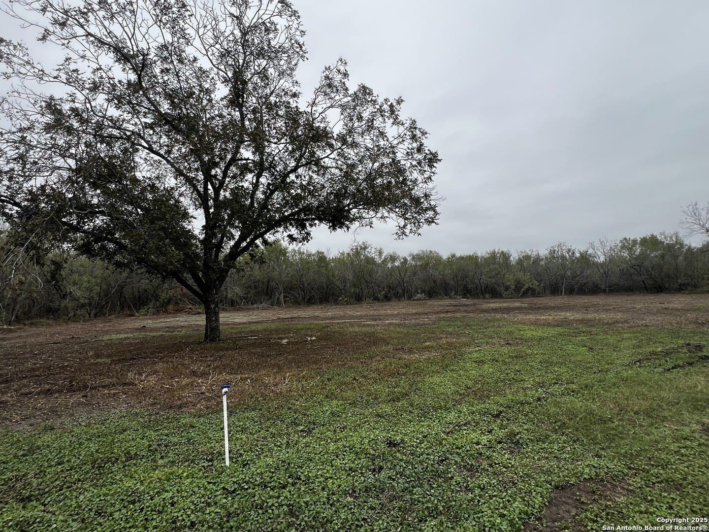 11.31 acres in Medina County gallery image 4