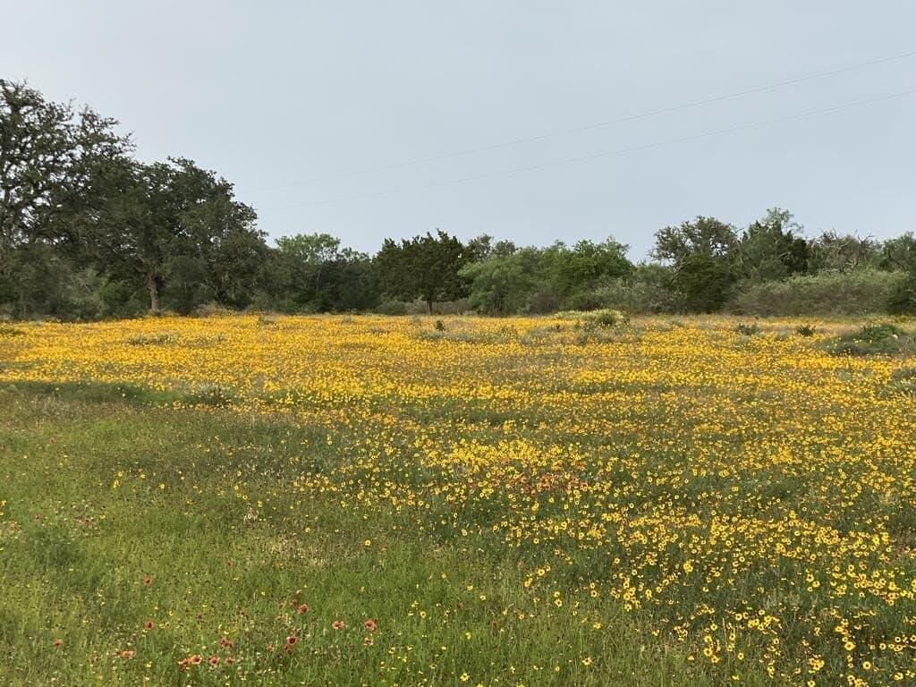 15.33 acres in Gillespie County - photo 8