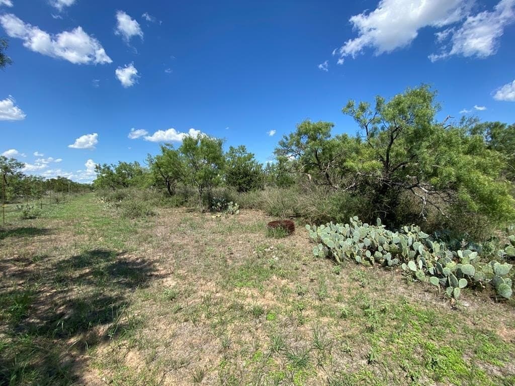 15.33 acres in Gillespie County - photo 3