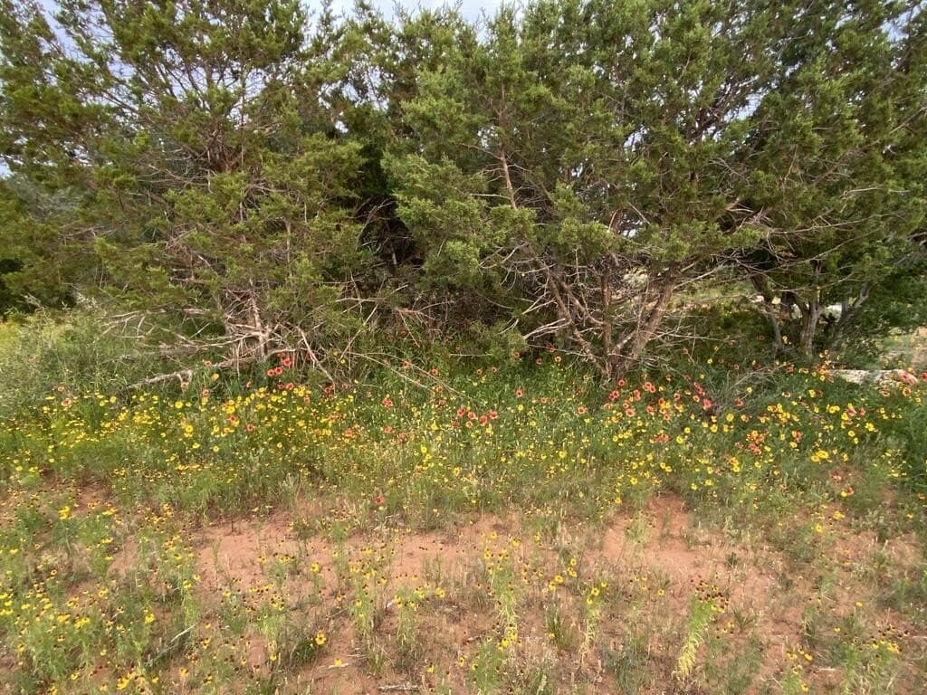 15.33 acres in Gillespie County - photo 7