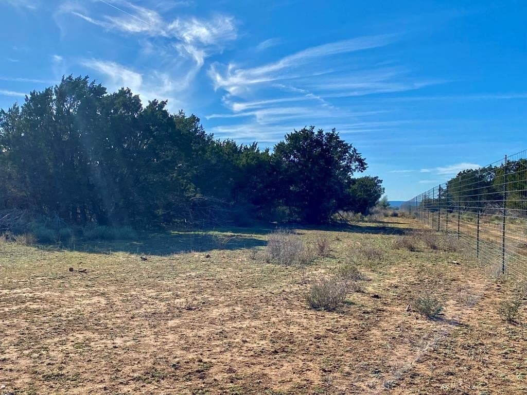 15.33 acres in Gillespie County - photo 5