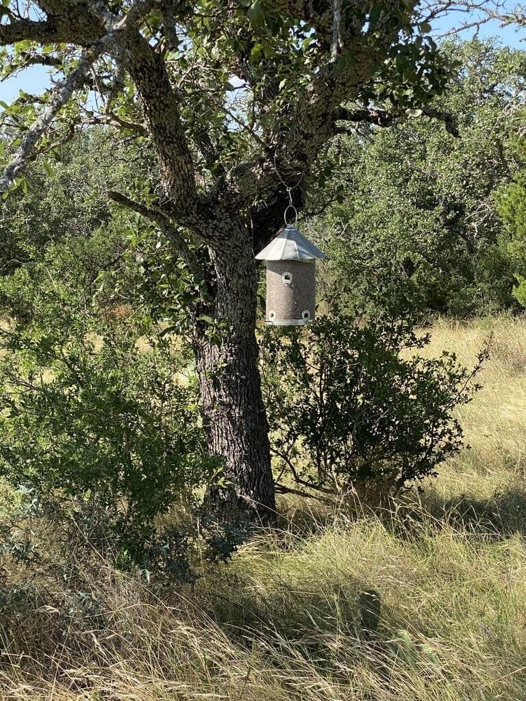 15.33 acres in Gillespie County - photo 12