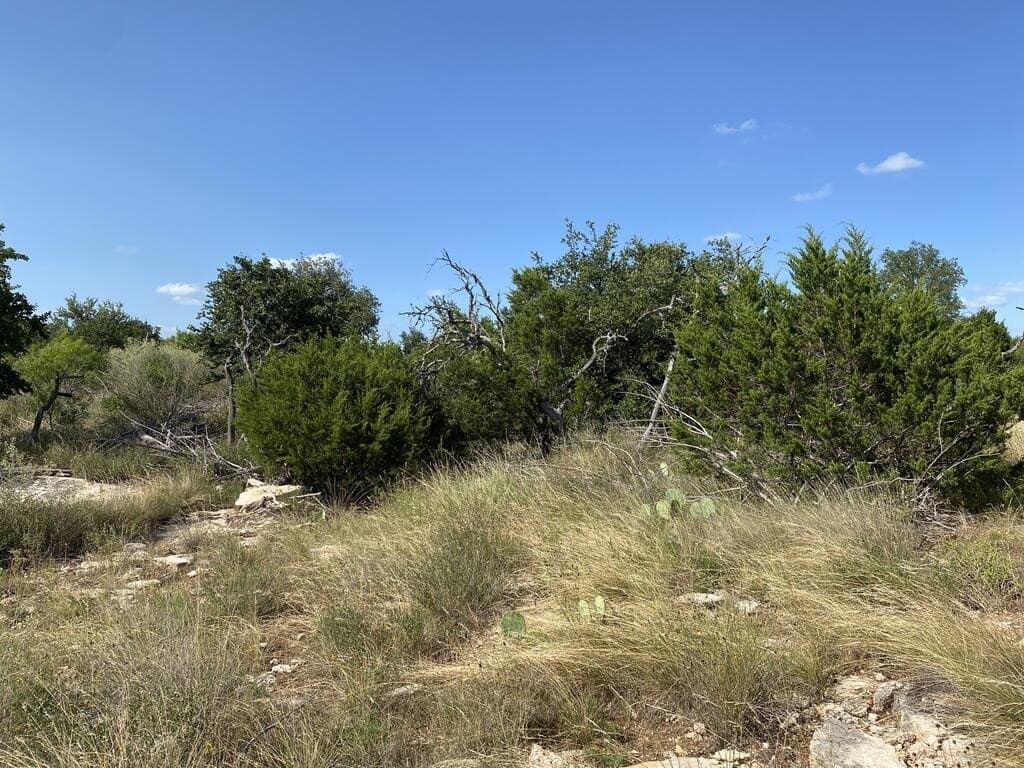 15.33 acres in Gillespie County - photo 11