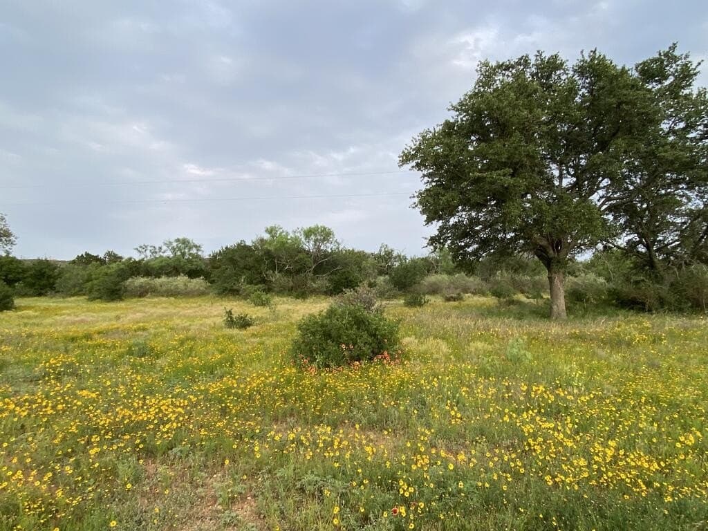 15.33 acres in Gillespie County - photo 6