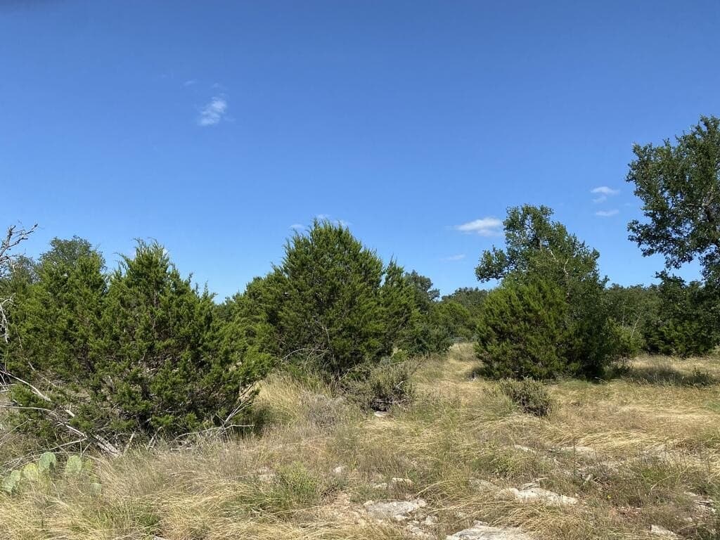 15.33 acres in Gillespie County - photo 9