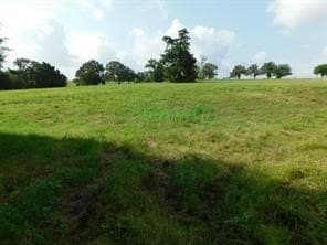 1.79 acres in Navarro County - photo 6