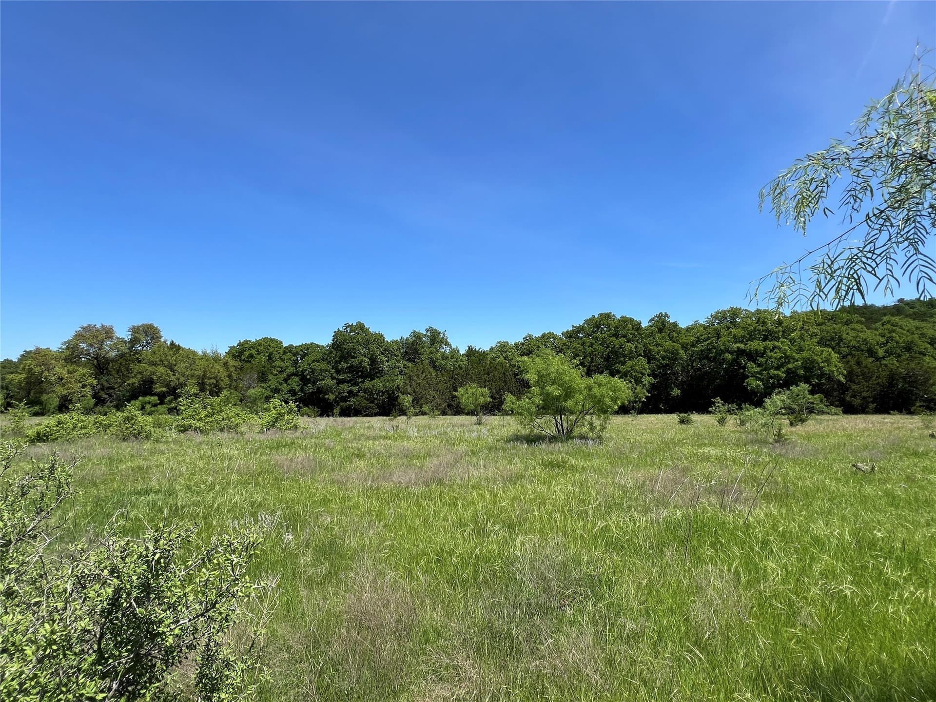 10.42 acres in Palo Pinto County - photo 12