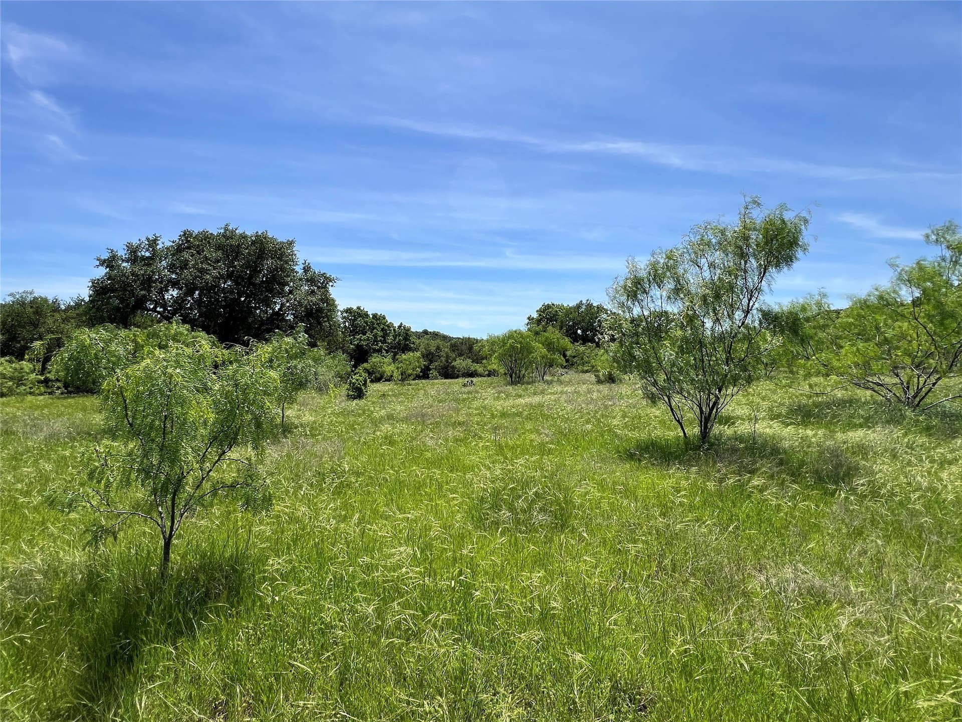 10.42 acres in Palo Pinto County - photo 11