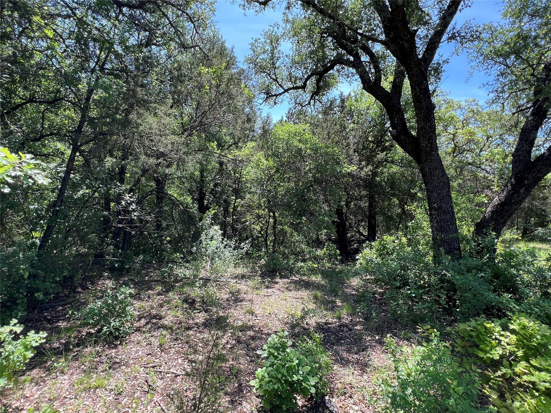 10.42 acres in Palo Pinto County - photo 8