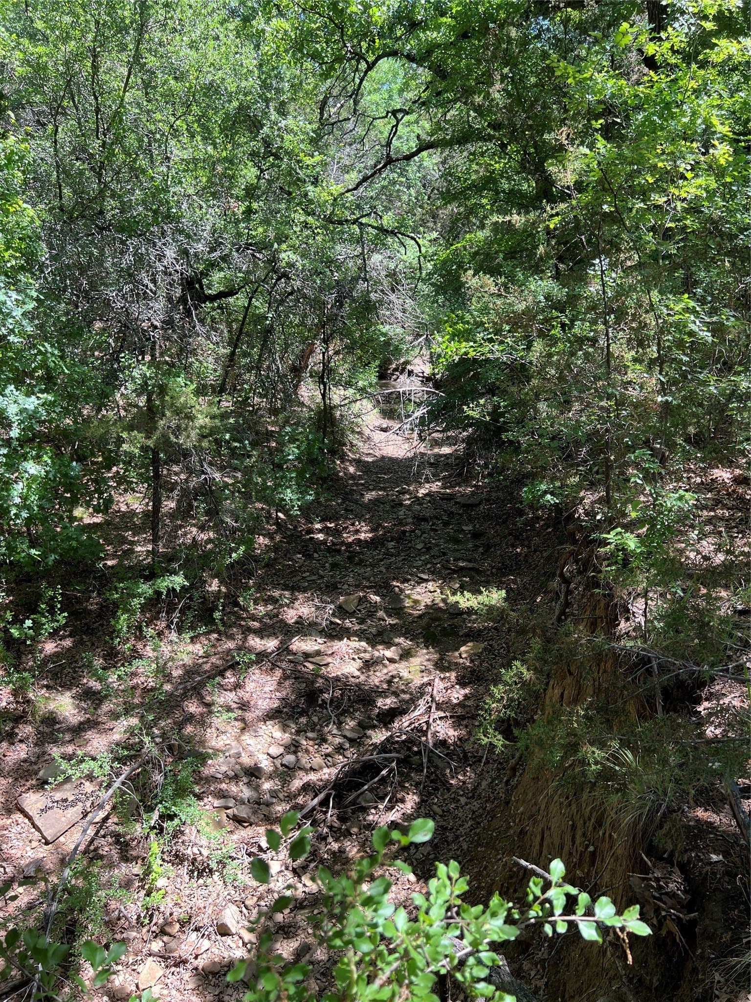 10.42 acres in Palo Pinto County - photo 6