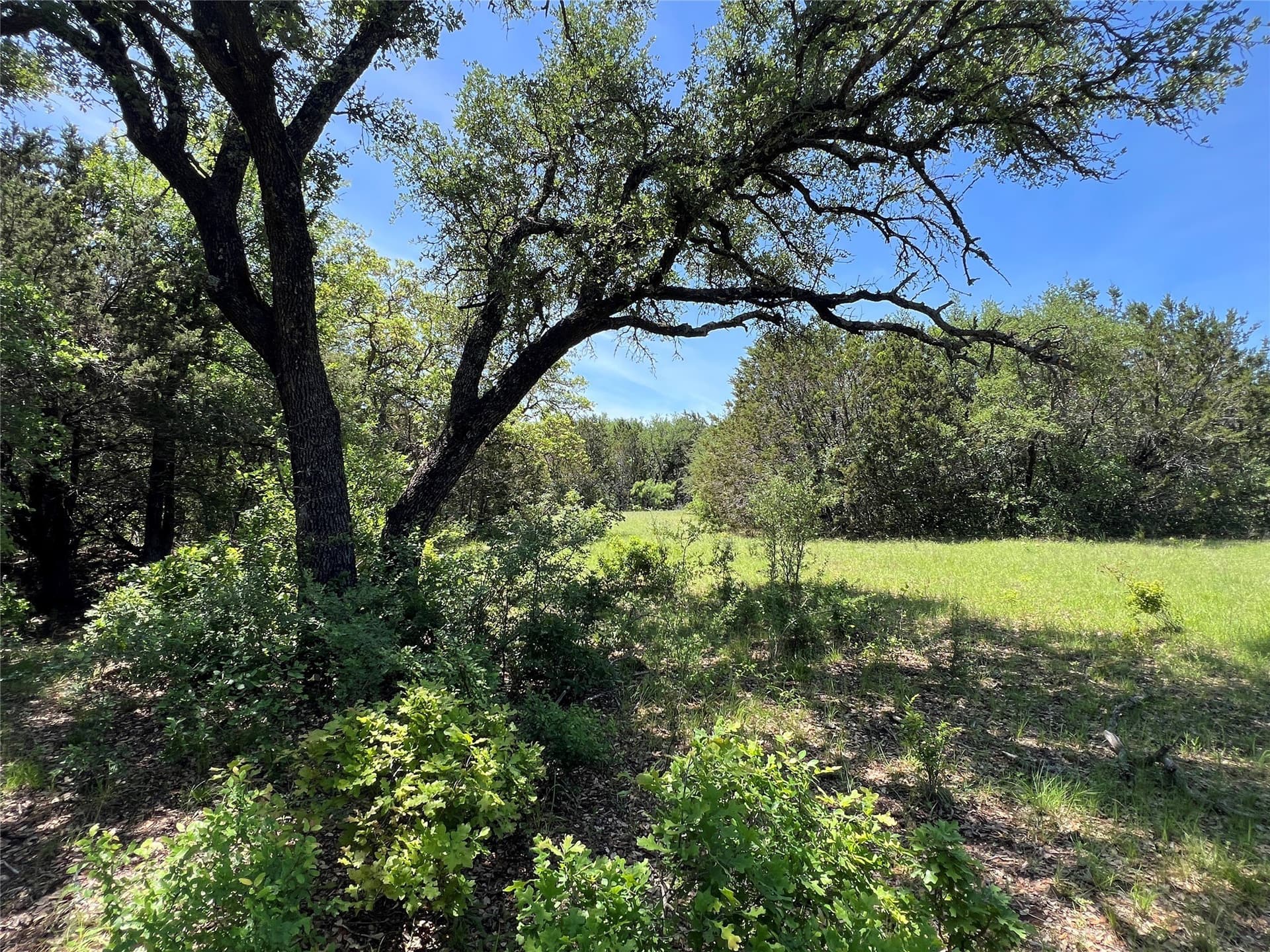 10.42 acres in Palo Pinto County - photo 7