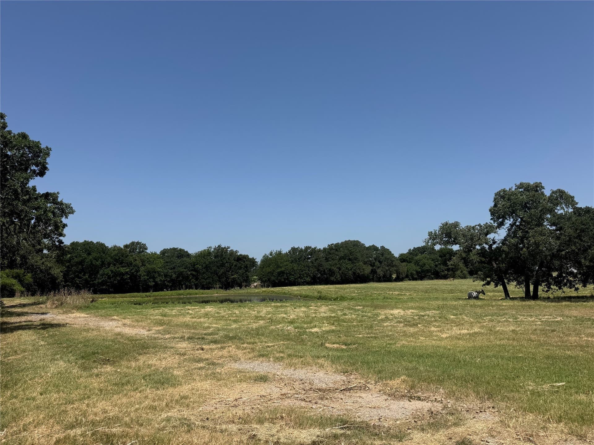 38.46 acres in Wise County - photo 32